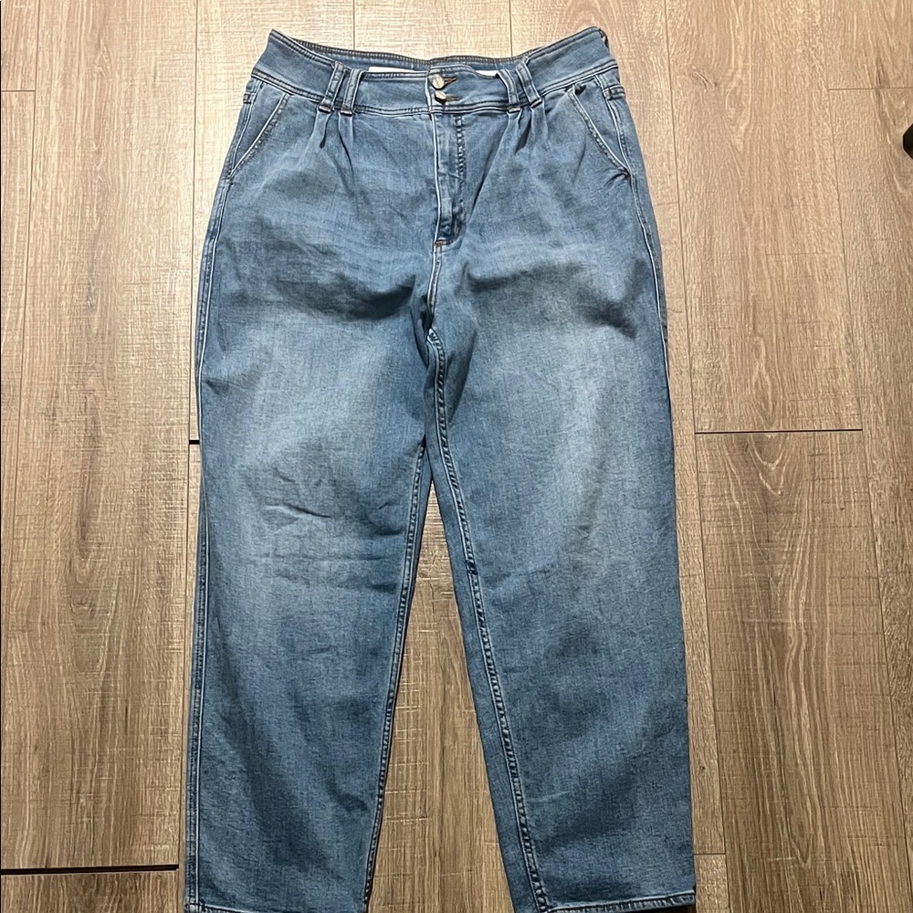 Anthropologie Pilcro Relaxed Fit Pleated Front Jeans Size 31